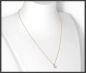 Preview: Brillant Anhänger & Kette 585 Gold 1,03ct, Si2